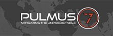 Pulmus7 - Top Healthcare Security Solutions Companies Pulmus7